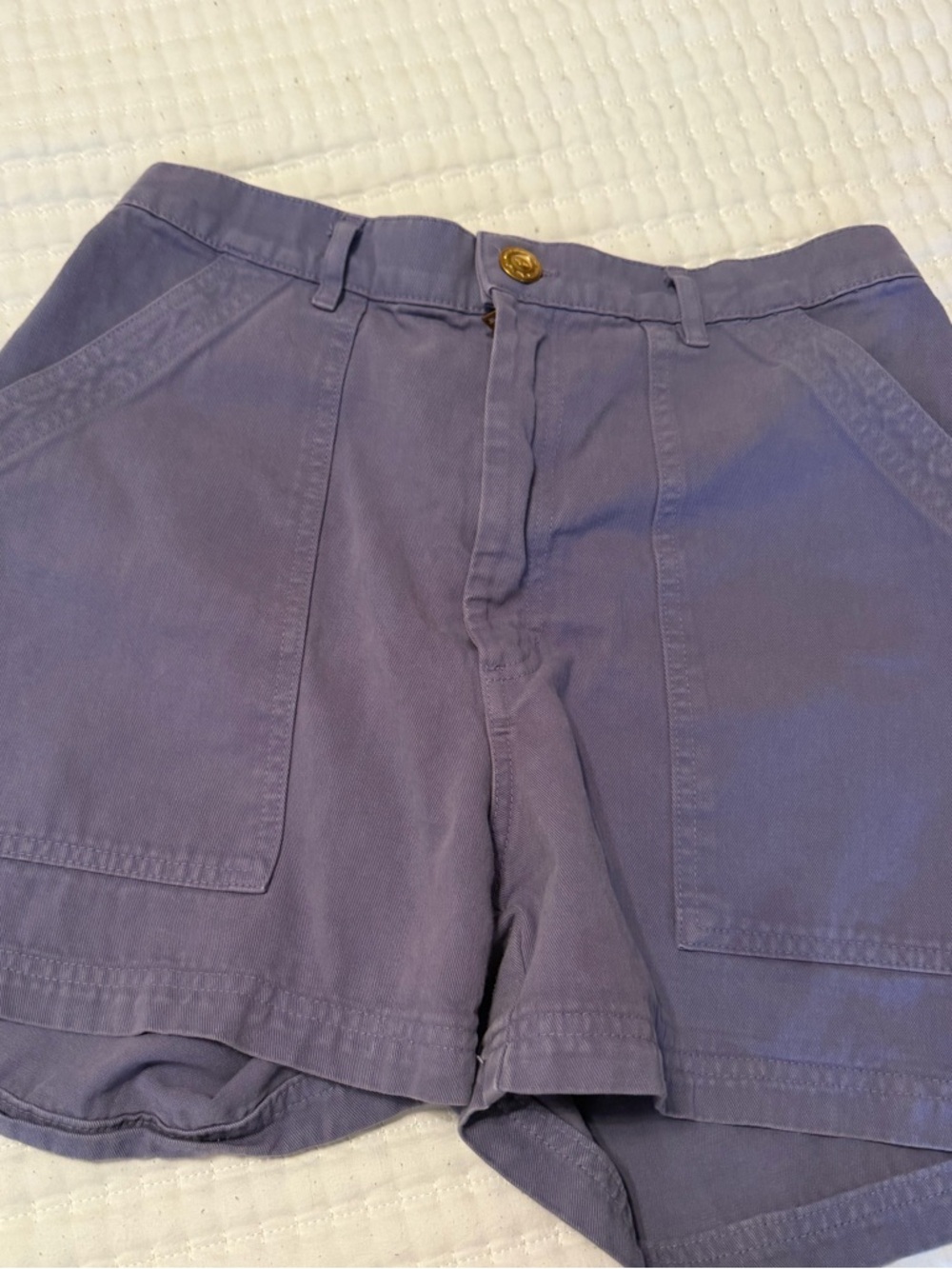 Big Bud Press Work Shorts in Faded Grape